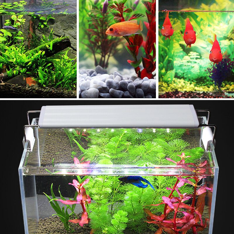 3/5/7/9 W Fish Tank Light 220v Led Štedno Plavo+bijelo Svjetlo Linijski Prekidač