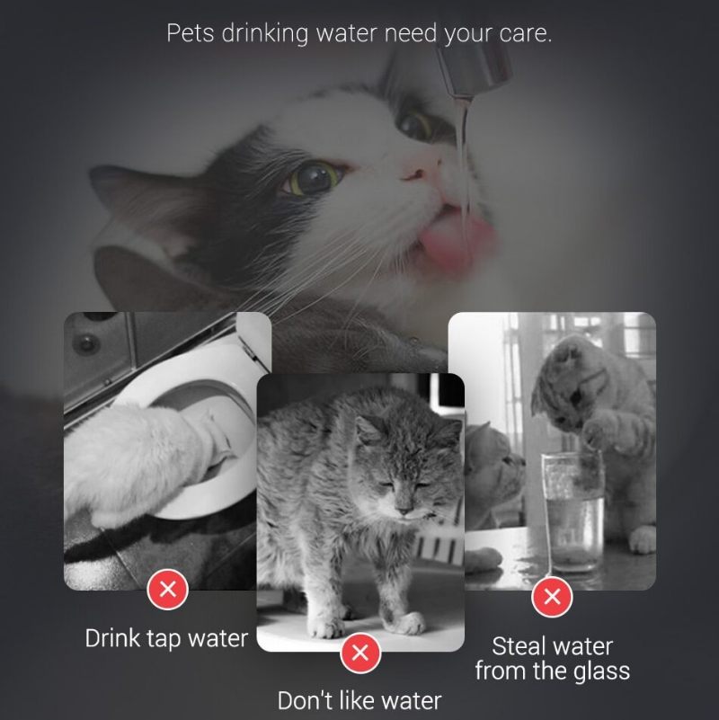 Automatski Senzor Filtra Za Vodenu Fontanu Cat