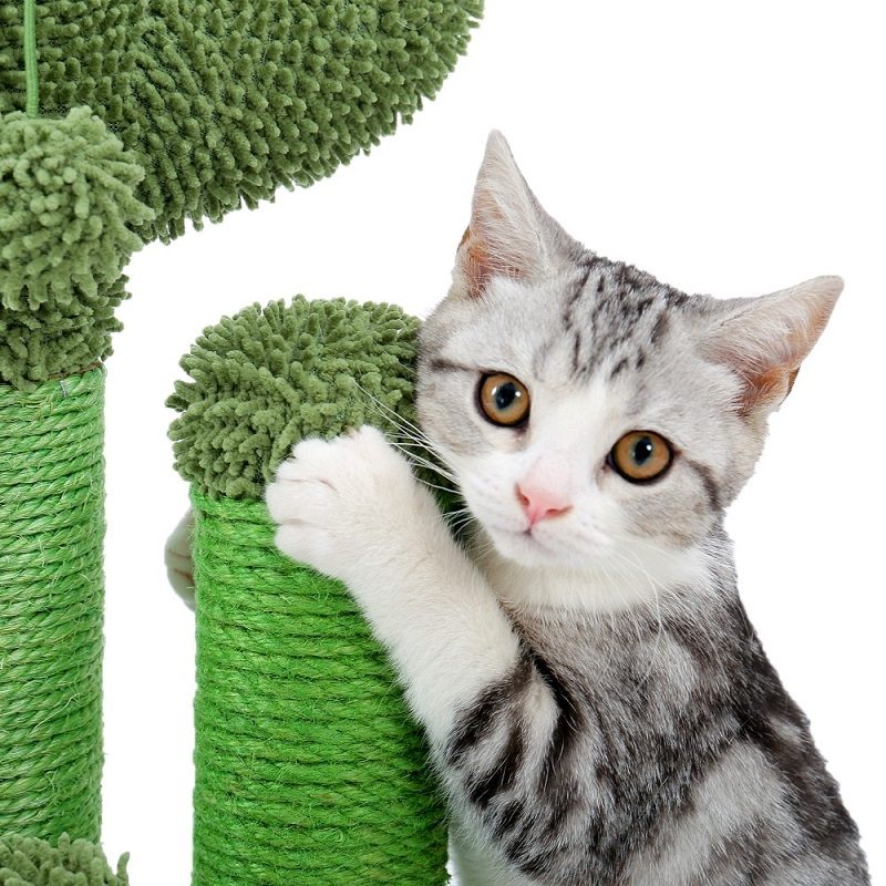 Mačka Slatko Stablo Kaktusa S Igračkom Za Grebanje