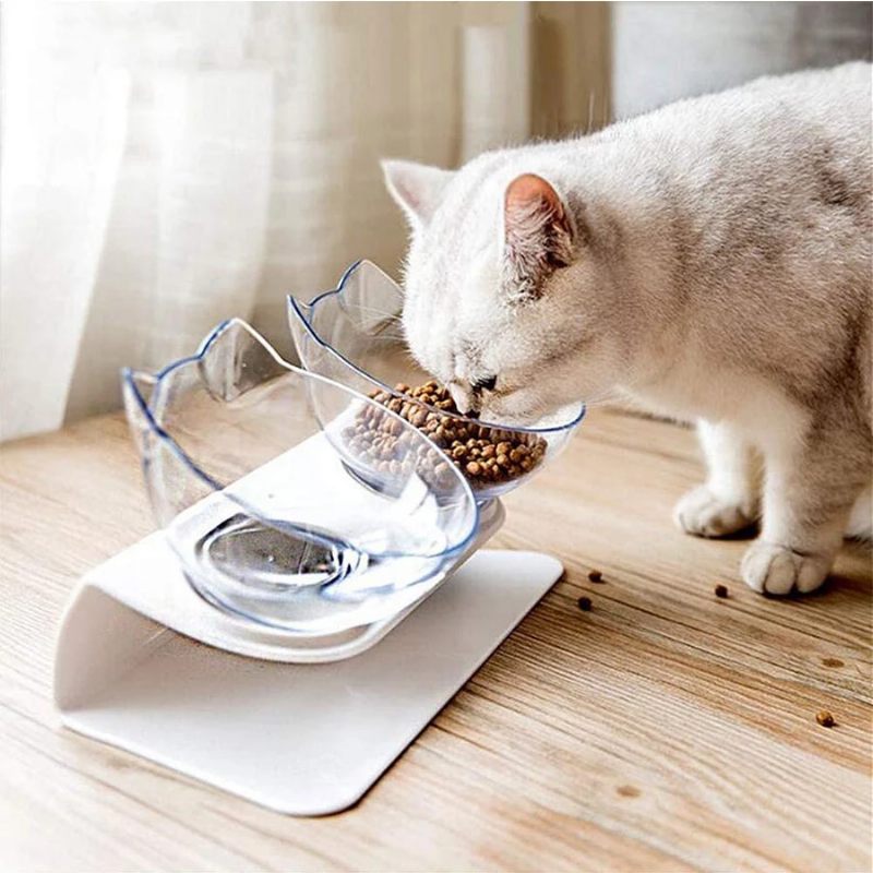 Prozirna Dvostruka Zdjelica Za Hranjenje Mačaka S Povišenom Vodom