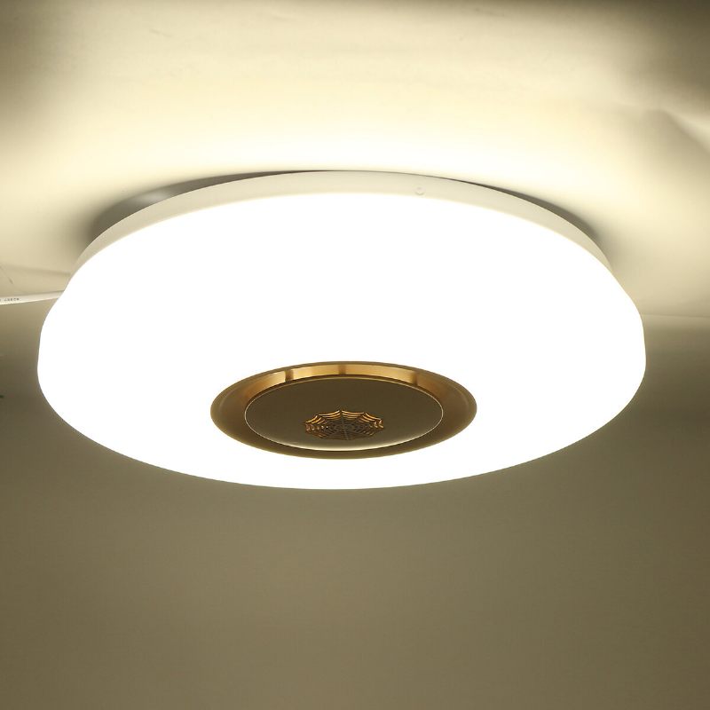 Led Stropna Svjetiljka S Prigušivanjem App Control 85-265v Dimni Alarm Moderna Minimalistička Akrilna Okrugla Rasvjeta Lampa Za Dnevni Boravak Spavaća Soba Radna Za Kućnu Rasvjetu