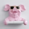 Pink Pig