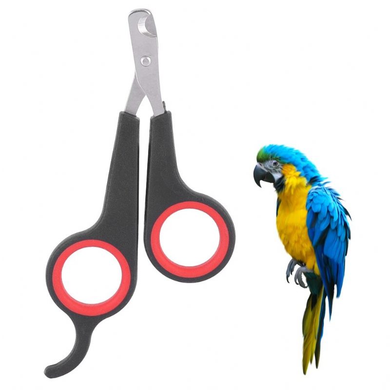 Bird Nail Clipper Alat Za Njegu Papiga