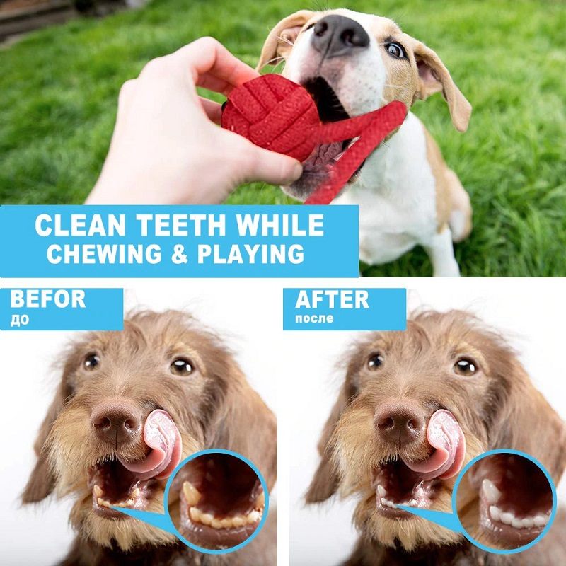 12pcs Veliki Pas Za Žvakanje Set Igračaka Za Čišćenje Zubi