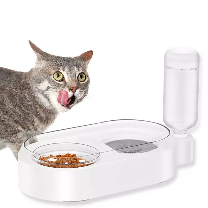 Dvostruka Posuda Za Pse Mačke Hranu Vodu Odvojivi Automatski Dozator Vode Staklena Hranilica Neklizajuća