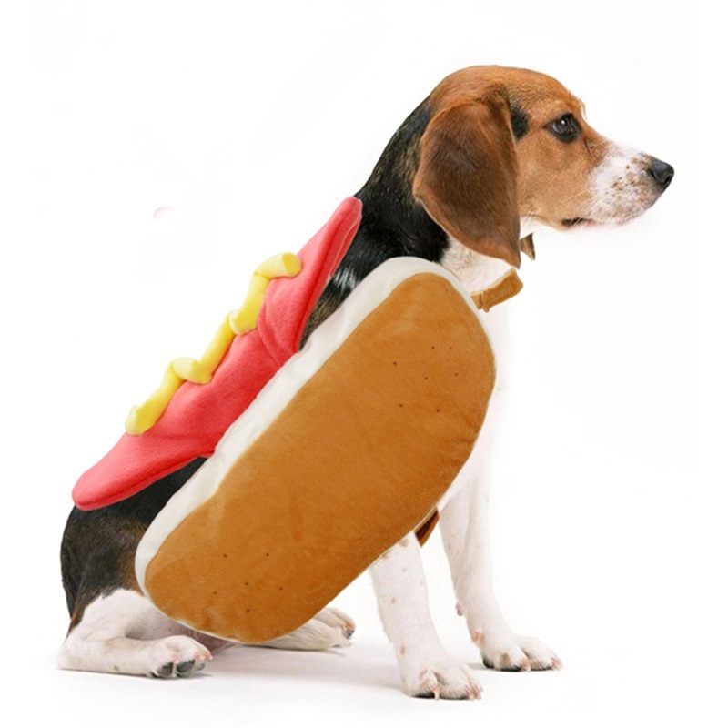 Hot Dog Pet Dogs Kostim Odjeća Slatka Mačka Puppy Outfit