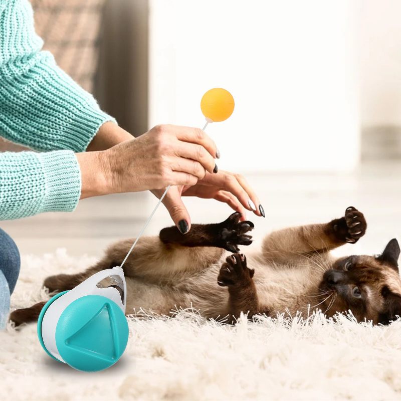 Igračka Za Mačke 360° Tumbler Samookretna S Lopticom Od Mačje Metvice Zanimljiva Interaktivna Za Štene I Psa