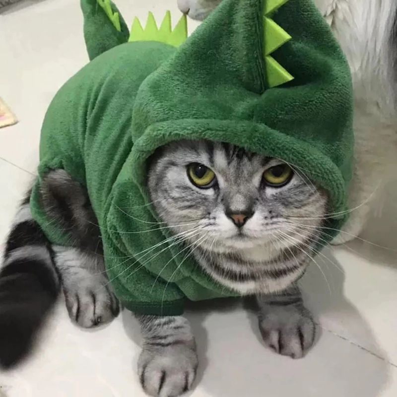 Kostim Mačke Dinosaura Topla Plišana Majica S Kapuljačom