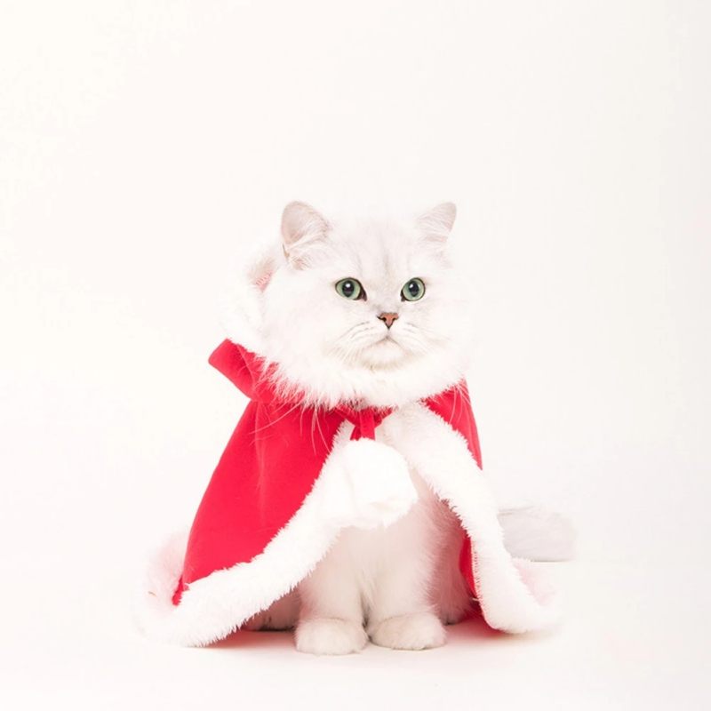 Mačka Božićni Šešir Plašt Novogodišnji Kostim