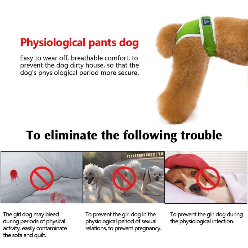Pelene Za Pse Physiological Pet Pants