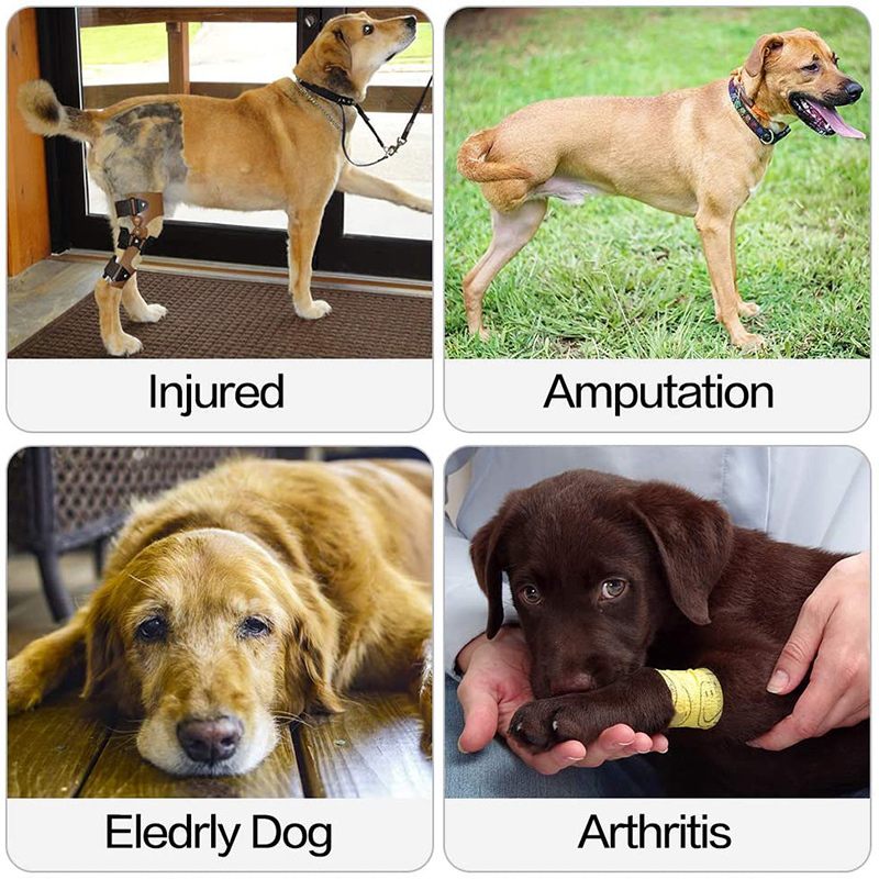 Potporni Pojas Za Psa Za Prednje I Stražnje Noge