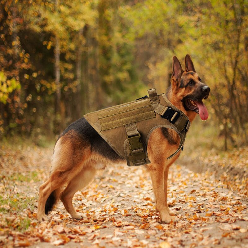 Nosač Bez Povlačenja Za Velike Pse Vojni Taktički Pojas Za Pse Njemački Ovčar Doberman Labrador Proizvod Za Obuku Službenog Psa