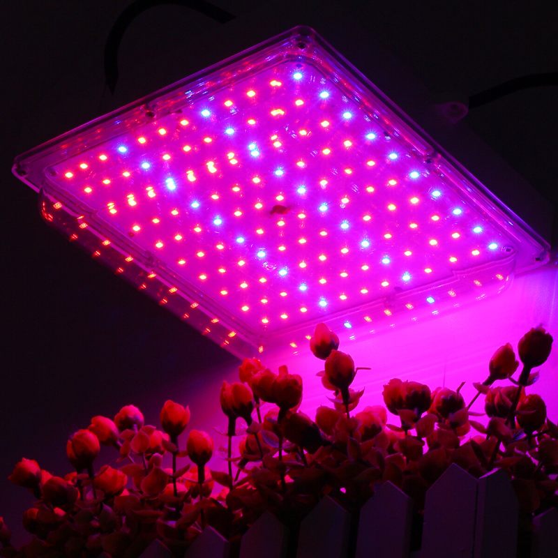 100 W Led Hidroponičko Svjetlo Za Uzgoj Stakleničkih Biljaka Puni Spektar Rasvjetnih Ploča Za