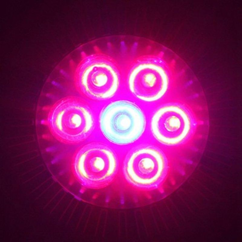 21w E27 Crvena + Plava Led Svjetiljka Za Rast Biljaka Flower Hydroponic Globe Žarulja 85-265 V