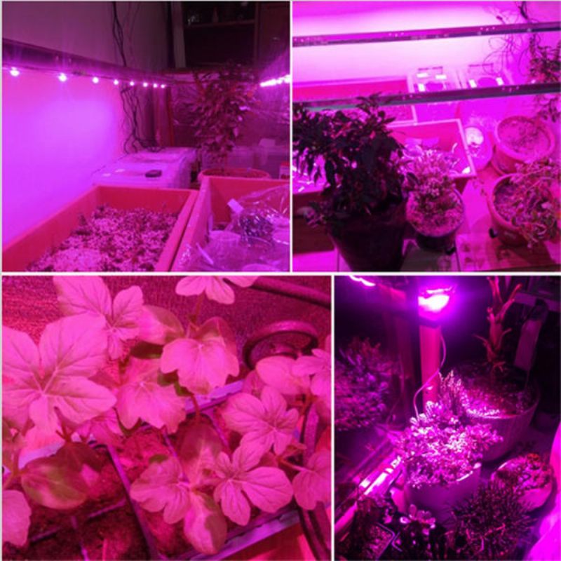 30w/50w/70w Led Velike Snage Punog Spektra Grow Cob Svjetlosni Čip Za Biljke I Povrće Ac110v/ac220v