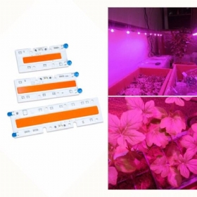 30w/50w/70w Led Velike Snage Punog Spektra Grow Cob Svjetlosni Čip Za Biljke I Povrće Ac110v/ac220v