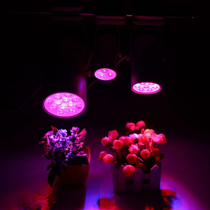 3w 7w 12w Led Svjetiljke Za Biljke Grow Lamp Dodatno Svjetlo Za Poplave