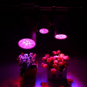 3w 7w 12w Led Svjetiljke Za Biljke Grow Lamp Dodatno Svjetlo Za Poplave