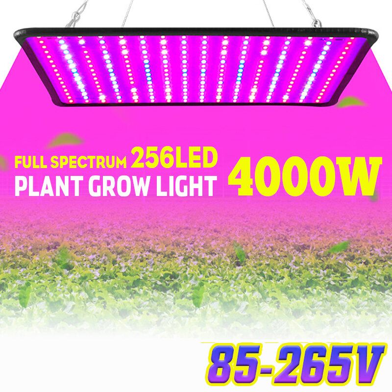 5000w Led Uv Svjetiljka Punog Spektra Za Uzgoj Biljaka Hidroponika U Zatvorenom Prostoru