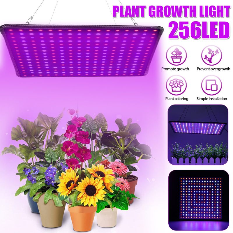 5000w Led Uv Svjetiljka Punog Spektra Za Uzgoj Biljaka Hidroponika U Zatvorenom Prostoru