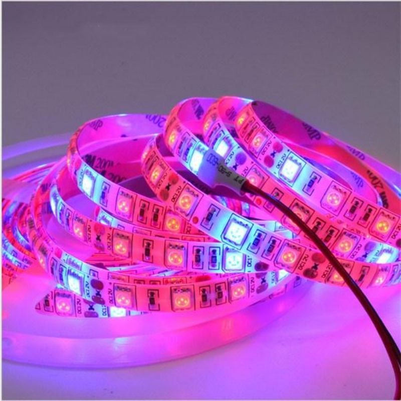 5m 3:1/4:1/5:1 Crveno:plavo 5050smd 300led Nevodootporno Hidroponsko Svjetlo Za Rast Biljaka Dc12v