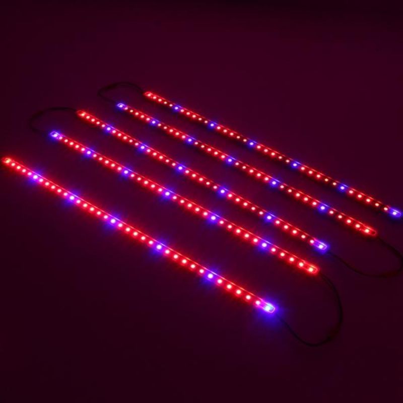 5pcs 50cm Smd5050 Nevodootporna 5:1 Led Trakasta Svjetiljka + 5a Strujni Adapter Za Uzgoj Biljaka U Vrtu Dc12v