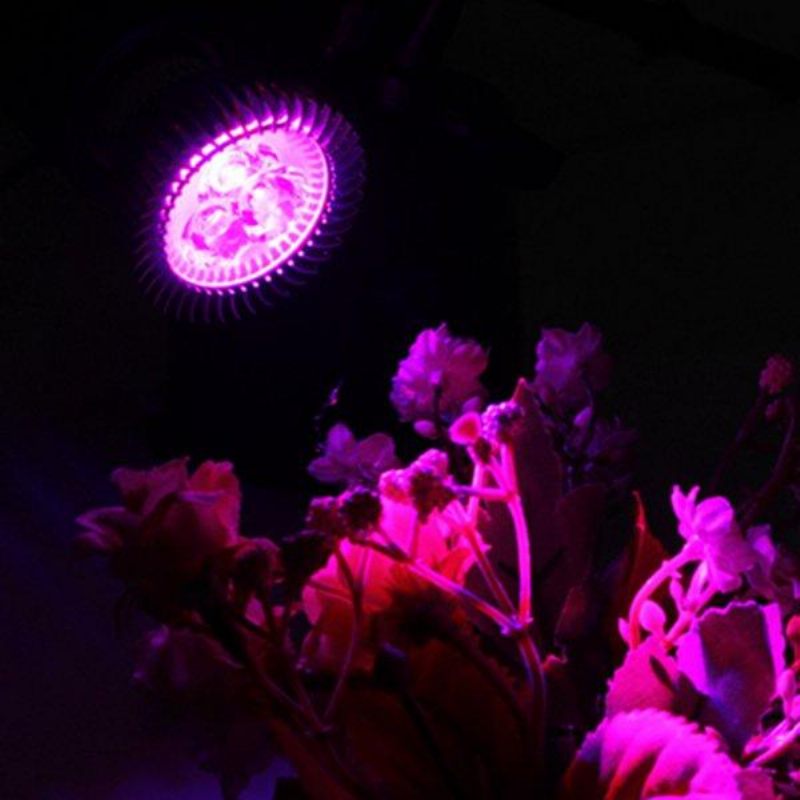 6w E27 Crvena + Plava Led Svjetiljka Za Uzgoj Biljaka Flower Hydroponic Globe Žarulja 85-265 V