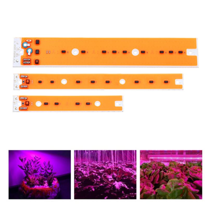 Ac110v/220v 30w 50w 80w Led Cob Čip S Punim Spektrom Rasvjetnog Izvora Za Svjetiljku S Jodom I Volframom