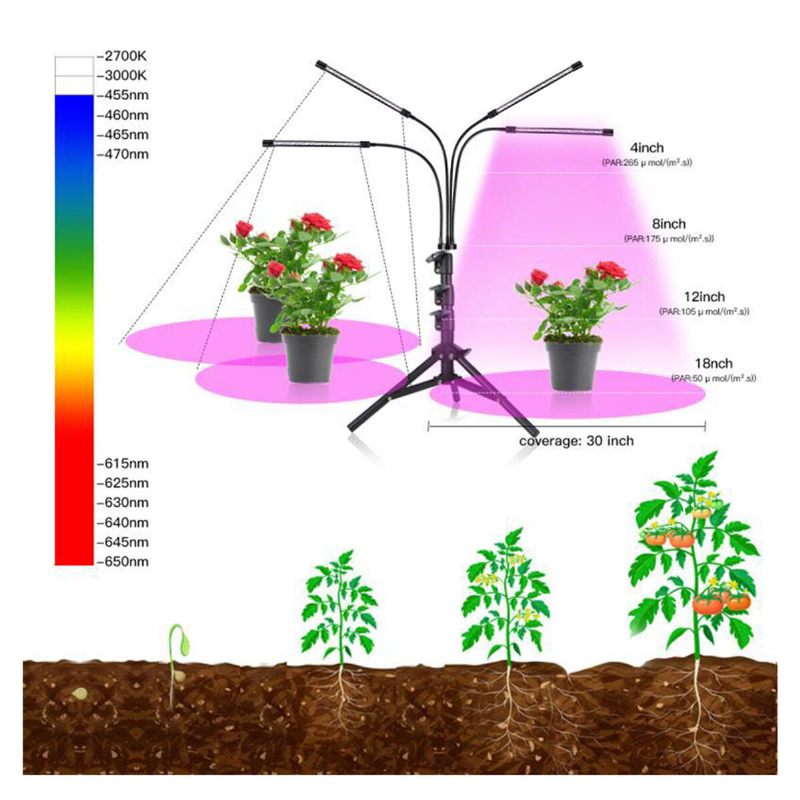Daljinski Upravljač 4 Glave Led Svjetiljke Za Uzgoj Svjetla Lampe Za Biljaka Sa Stativom Za Sobne Biljke