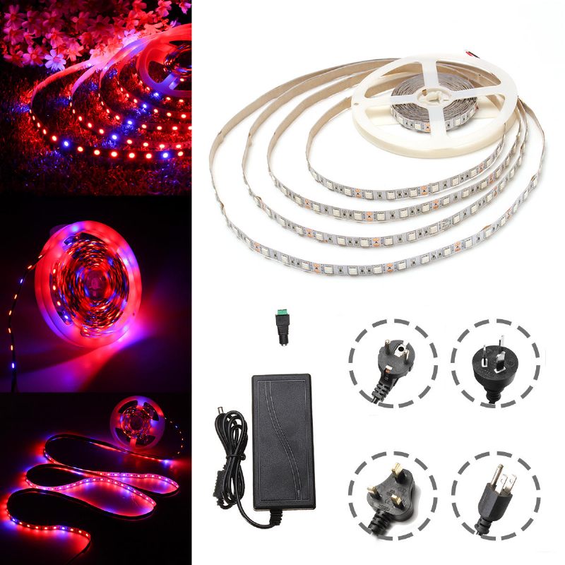 Dc12v 5m Nevodootporan Smd5050 R:b 3:1 Grow Led Strip Svjetlo + 5a Strujni Adapter + Ženski Konektor