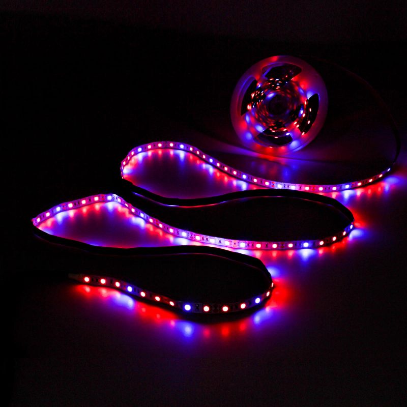 Dc12v 5m Nevodootporan Smd5050 R:b 3:1 Grow Led Strip Svjetlo + 5a Strujni Adapter + Ženski Konektor