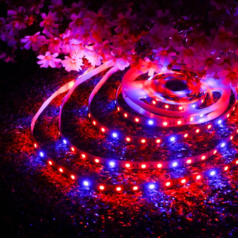 Dc12v 5m Nevodootporan Smd5050 R:b 3:1 Grow Led Strip Svjetlo + 5a Strujni Adapter + Ženski Konektor