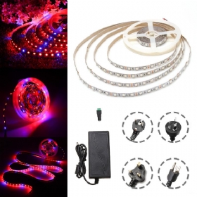 Dc12v 5m Nevodootporan Smd5050 R:b 3:1 Grow Led Strip Svjetlo + 5a Strujni Adapter + Ženski Konektor