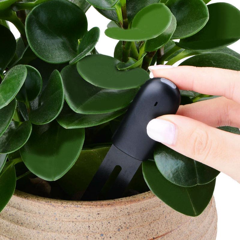 Flora Digital Plants Grass Flower Monitor Tester Tlo Water Moisture Sensor Detektor Cvjetnih Biljki