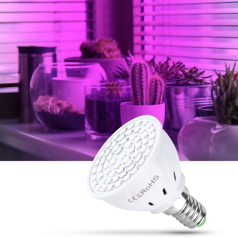 Led Fito Lampe Svjetlo Za Rast Punog Spektra Led Žarulje Za Sadnice Led Lampa Za Uzgoj Biljaka Nosač E14 E27 Za Sadnju U Stakleniku