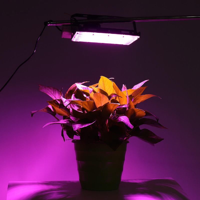 Puni Spektar 50 Led Grow Light Reflektorska Svjetiljka Za Biljke