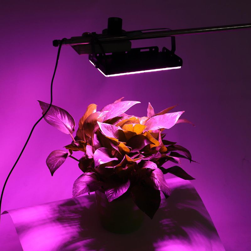 Puni Spektar 50 Led Grow Light Reflektorska Svjetiljka Za Biljke