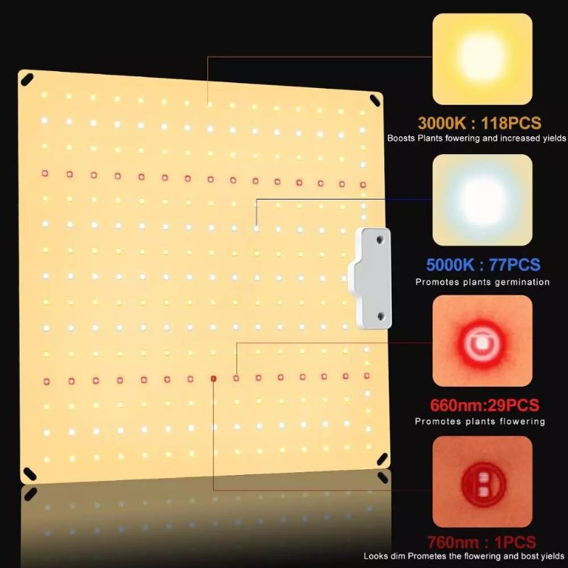 Qbcc600 Pro Ir+uv Tiho Led Svjetlo Punog Spektra Bez Ventilatora Za Uzgoj Visokog Ppfd-a Za 2x3ft Šator Za Sadnice Povrće I Cvjetanje