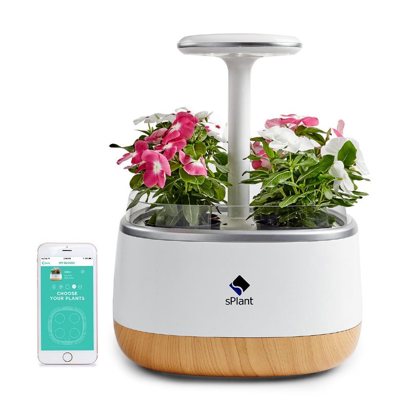 Splant Smart Fresh Herb Garden Kit Inteligentni Indoor Sprout Led Light Četiri Teglice Za Cvijeće S Aplikacijom Daljinski Upravljač Tehnologija Samonavodnjavanja