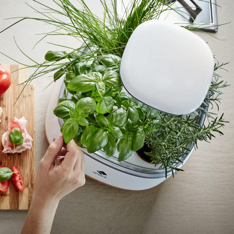 Splant Smart Fresh Herb Garden Kit Inteligentni Indoor Sprout Led Light Četiri Teglice Za Cvijeće S Aplikacijom Daljinski Upravljač Tehnologija Samonavodnjavanja