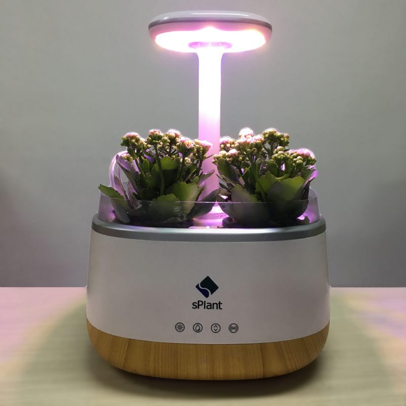 Splant Smart Fresh Herb Garden Kit Inteligentni Indoor Sprout Led Light Četiri Teglice Za Cvijeće S Aplikacijom Daljinski Upravljač Tehnologija Samonavodnjavanja